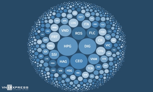 Cổ phiếu của năm 2021: DIG, HPG và CEO